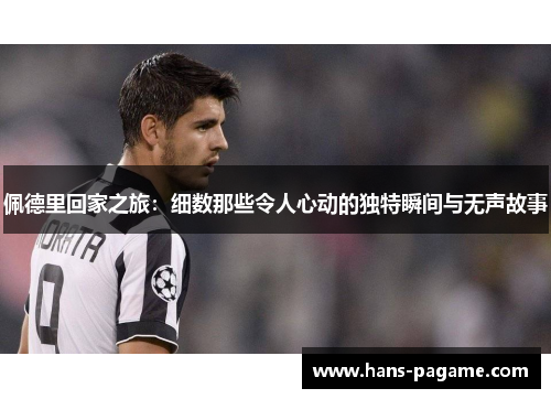 佩德里回家之旅：细数那些令人心动的独特瞬间与无声故事