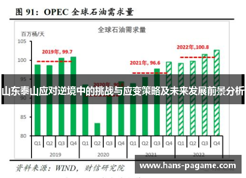 山东泰山应对逆境中的挑战与应变策略及未来发展前景分析