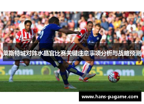 莱斯特城对阵水晶宫比赛关键注意事项分析与战略预测 莱斯特城对阵水晶宫比赛关键注意事项分析与战略预测