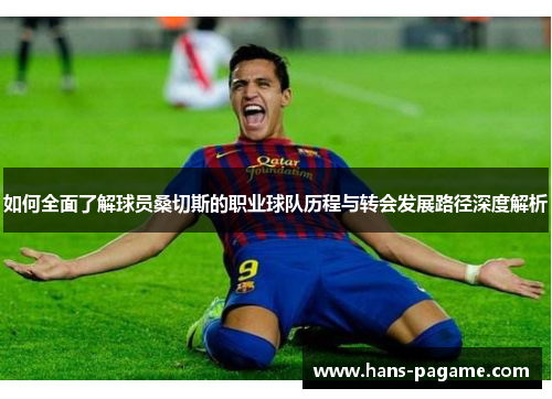 如何全面了解球员桑切斯的职业球队历程与转会发展路径深度解析 如何全面了解球员桑切斯的职业球队历程与转会发展路径深度解析