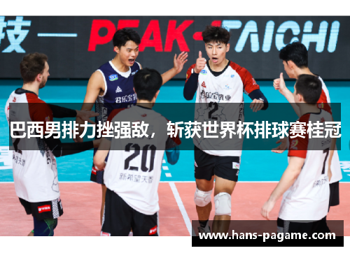 巴西男排力挫强敌，斩获世界杯排球赛桂冠