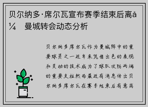 贝尔纳多·席尔瓦宣布赛季结束后离开曼城转会动态分析